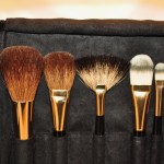 Face Brushes