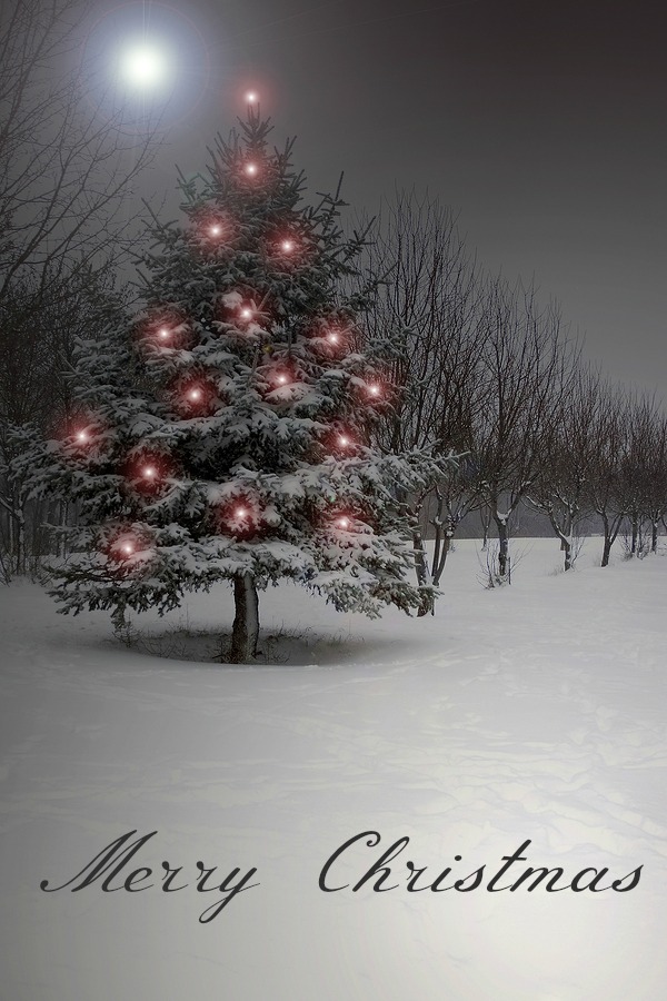 A magical Christmas tree under moon light
