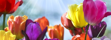 Fashion Flash: Beauty, Skincare, Fashion, Fitness for Women Over 40