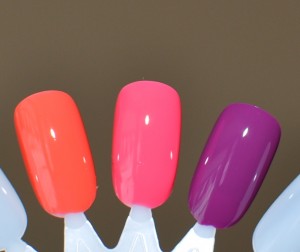 Peach Melodie, Rose Macaron, Midnight Rose