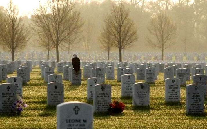 Happy Memorial Day