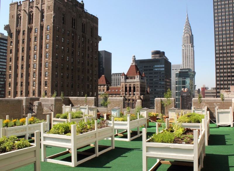 Waldorf Astoria New York Garden High Res (800x583)