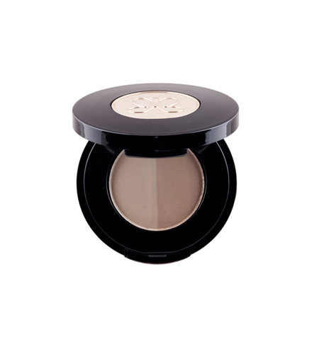 Anastasia Brows for Brow Wow!