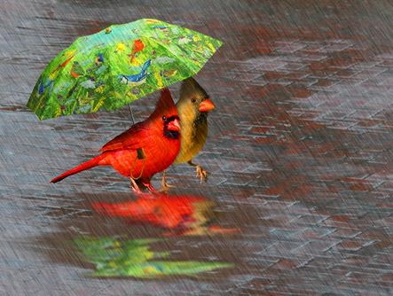 April Showers