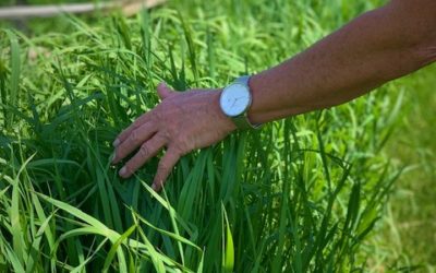 A Watch to Update Your Style